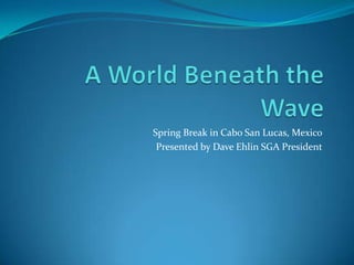 A World Beneath the Wave Spring Break in Cabo San Lucas, Mexico Presented by Dave Ehlin SGA President 