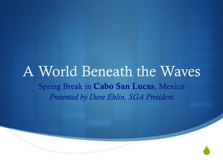 A World Beneath the Waves
  Spring Break in Cabo San Lucas, Mexico
     Presented by Dave Ehlin, SGA President




                                              S
 