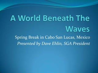 A World Beneath The Waves Spring Break in Cabo San Lucas, Mexico Presented by Dave Ehlin, SGA President 