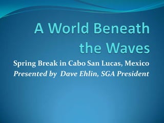 A World Beneath the Waves Spring Break in Cabo San Lucas, Mexico Presented by  Dave Ehlin, SGA President 