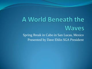 A World Beneath the Waves Spring Break in Cabo in San Lucas, Mexico Presented by Dave Ehlin SGA President 