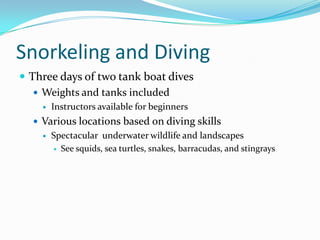 Snorkeling and Diving
 Three days of two tank boat dives
    Weights and tanks included
       Instructors available for beginners
   Various locations based on diving skills
       Spectacular underwater wildlife and landscapes
         See squids, sea turtles, snakes, barracudas, and stingrays
 