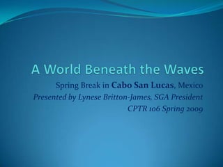 Spring Break in Cabo San Lucas, Mexico
Presented by Lynese Britton-James, SGA President
                           CPTR 106 Spring 2009
 