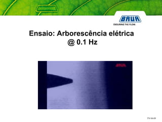TN 04-09
Ensaio: Arborescência elétrica
@ 0.1 Hz
 