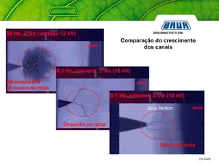 TN 04-09
Dirección recta
Dirección no recta
Arborescencia ,
Dirección no recta
Comparação do crescimento
dos canais
 