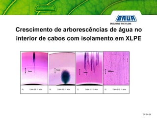 TN 04-09
Crescimento de arborescências de água no
interior de cabos com isolamento em XLPE
500µm
A) Cable S6, 21 años B) Cable S6, 21 años C) Cable S1, 17 años D) Cable S10, 11 años
1mm
1mm
1mm
 