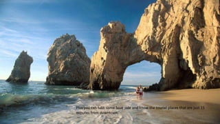 Plus you can take some boat ride and know the tourist places that are just 15
minutes from downtown.
 