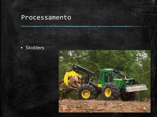 Processamento
 Skidders
 
