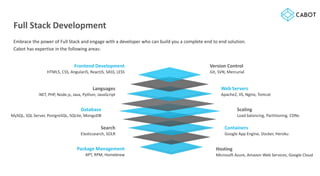 Cabot Technology Solutions Inc | PDF