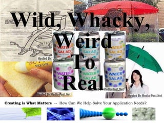 Wild, Whacky,  Weird To Real 