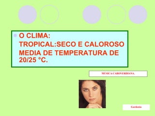 O CLIMA: TROPICAL: SECO E CALOROSO  MEDIA DE TEMPERATURA DE 20/25 °C.  MÚSICA CABOVERDIANA. Gardenia 