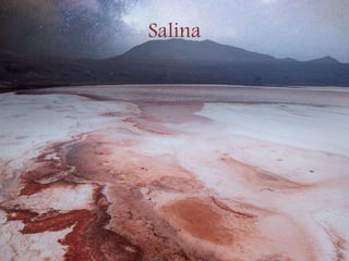 Salina