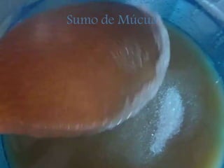 Sumo de Múcua