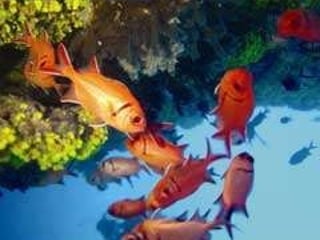 Fishing… Sportive fishing is one of the most potentially promising tourist activities . 