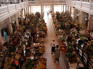 Mercado Municipal
 