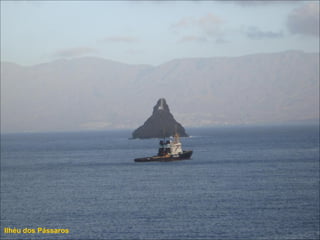 Ilhéu dos Pássaros
 