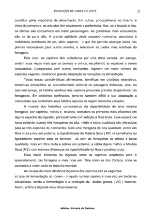 PRODUÇÃO DE CABRA DE LEITE                                     21

constituir parte importante da alimentação. Em outras, principalmente no inverno e
início da primavera, os arbustos têm novamente a preferência. Mas, se a lotação é alta,
os últimos são consumidos em maior percentagem. As gramíneas mais consumidas
são as de porte alto. A grande agilidade deste pequeno ruminante, associada à
mobilidade acentuada de seu lábio superior, o que lhe permite alcançar áreas nas
plantas inacessíveis para outros animais, e selecionar as partes mais nutritivas da
forrageira.
       Pelo visto, os caprinos têm preferência por uma dieta variada. em pastejo,
andam suas vezes mais que os bovinos e ovinos, escolhendo as espécies a serem
consumidas. Comparados com outros ruminantes, ingerem um maior número de
espécies vegetais, mostrando grande adaptação às variações na alimentação.
       Todas essas características alimentares, benéficas em criatórios extensivos,
tornam-se empecilhos ao aproveitamento racional de pastagens formadas, pois, no
caso em apreço, os hábitos seletivos dos caprinos provocam grandes desperdícios nas
forrageiras. Em criatórios confinados, torna-se também difícil a sua adaptação a
monodietas que contrariam seus hábitos naturais de ingerir alimentos variados.
       A maioria dos trabalhos comparativos da digestibilidade de uma mesma
forrageira, por caprinos, ovinos e bovinos, considera os primeiros mais eficientes em
alguns aspectos da digestão, principalmente com relação à fibra bruta. Esse aspecto se
torna evidente quando três forrageiras de alta, média e baixa qualidade são oferecidas
para as três espécies de ruminantes. Com uma forrageira de boa qualidade, pobre em
fibra bruta e rica em proteína, a digestibilidade da Matéria Seca ( MS ) é semelhante ou
ligeiramente superior para os bovinos.      Já com as forrageiras de média e baixa
qualidade, ricas em fibra bruta e pobres em proteína, a cabra digere melhor a Matéria
Seca (MS), com maiores diferenças na digestibilidade da fibra e proteína bruta.
       Essa maior eficiência da digestão torna os caprinos adaptados para o
aproveitamento das forragens e mais ricas em fibra como as dos trópicos, onde se
concentra a maior parte do rebanho mundial.
       As causas da maior eficiência digestiva dos caprinos são as seguintes:
a) taxa de fermentação do rúmen - o líquido ruminal caprino é mais rico em bactérias
celulolíticas, sendo a fermentação e a produção de ácidos graxos ( AG ) maiores.
Assim, a fibra é digerida mais eficientemente;




                                 Adelmo Ferreira de Santana
 