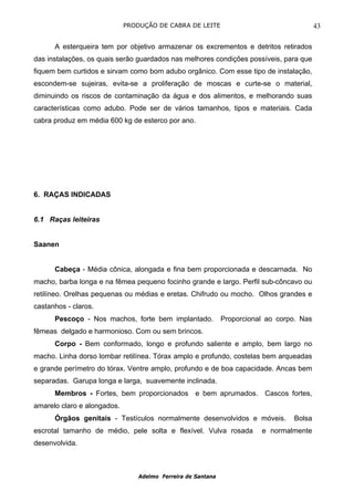 PRODUÇÃO DE CABRA DE LEITE                                    43

      A esterqueira tem por objetivo armazenar os excrementos e detritos retirados
das instalações, os quais serão guardados nas melhores condições possíveis, para que
fiquem bem curtidos e sirvam como bom adubo orgânico. Com esse tipo de instalação,
escondem-se sujeiras, evita-se a proliferação de moscas e curte-se o material,
diminuindo os riscos de contaminação da água e dos alimentos, e melhorando suas
características como adubo. Pode ser de vários tamanhos, tipos e materiais. Cada
cabra produz em média 600 kg de esterco por ano.




6. RAÇAS INDICADAS


6.1 Raças leiteiras


Saanen


      Cabeça - Média cônica, alongada e fina bem proporcionada e descarnada. No
macho, barba longa e na fêmea pequeno focinho grande e largo. Perfil sub-côncavo ou
retilíneo. Orelhas pequenas ou médias e eretas. Chifrudo ou mocho. Olhos grandes e
castanhos - claros.
      Pescoço - Nos machos, forte bem implantado.             Proporcional ao corpo. Nas
fêmeas delgado e harmonioso. Com ou sem brincos.
      Corpo - Bem conformado, longo e profundo saliente e amplo, bem largo no
macho. Linha dorso lombar retilínea. Tórax amplo e profundo, costelas bem arqueadas
e grande perímetro do tórax. Ventre amplo, profundo e de boa capacidade. Ancas bem
separadas. Garupa longa e larga, suavemente inclinada.
      Membros - Fortes, bem proporcionados e bem aprumados. Cascos fortes,
amarelo claro e alongados.
      Órgãos genitais - Testículos normalmente desenvolvidos e móveis.            Bolsa
escrotal tamanho de médio, pele solta e flexível. Vulva rosada           e normalmente
desenvolvida.



                                 Adelmo Ferreira de Santana
 