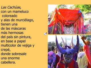 Las Cachúas ,  con un mameluco coloreado  y alas de murciélago, tienen una  de las máscaras  más hermosas  del país sin pintura,  en base a papel  multicolor de vejiga y crepé,  donde sobresale  una enorme cabellera.  