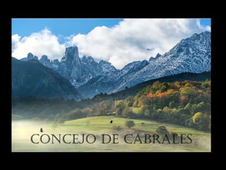 CONCEJO DE CABRALES

 