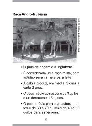 17
Raça Anglo-Nubiana
• O país de origem é a Inglaterra.
• É considerada uma raça mista, com
aptidão para carne e para leite.
• A cabra produz, em média, 3 crias a
cada 2 anos.
• O peso médio ao nascer é de 3 quilos,
e ao desmame, 15 quilos.
• O peso médio para os machos adul-
tos é de 60 a 70 quilos e de 40 a 50
quilos para as fêmeas.
Foto:FranciscoLuizRibeirodaSilva
 