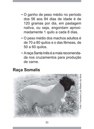 23
• O ganho de peso médio no período
dos 56 aos 84 dias de idade é de
120 gramas por dia, em pastagem
nativa, ou seja, engordam aproxi-
madamente 1 quilo a cada 8 dias.
• O peso médio dos machos adultos é
de 70 a 80 quilos e o das fêmeas, de
50 a 60 quilos.
• AraçaSantaInêséamaisrecomenda-
da nos cruzamentos para produção
de carne.
Raça Somalis
Foto:FranciscoLuizRibeirodaSilva
 