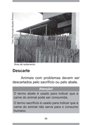 56
Área de isolamento.
Atenção!
O termo abate é usado para indicar que a
carne do animal pode ser consumida.
O termo sacrifício é usado para indicar que a
carne do animal não serve para o consumo
humano.
Descarte
Animais com problemas devem ser
descartados pelo sacrifício ou pelo abate.
Foto:RaymundoRizaldoPinheiro
 