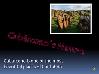 Cabárceno is one of the most
beautiful places of Cantabria
 