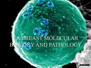 CA BREAST MOLECULAR
BIOLOGYAND PATHOLOGY
DR SUHAS K R
 