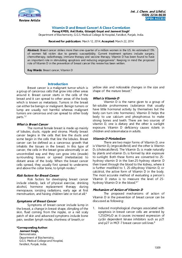 How to write an essay introduction examples