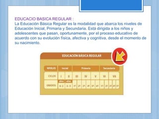 EDUCACIO BASICA REGULAR :
La Educación Básica Regular es la modalidad que abarca los niveles de
Educación Inicial, Primaria y Secundaria. Está dirigida a los niños y
adolescentes que pasan, oportunamente, por el proceso educativo de
acuerdo con su evolución física, afectiva y cognitiva, desde el momento de
su nacimiento.
 