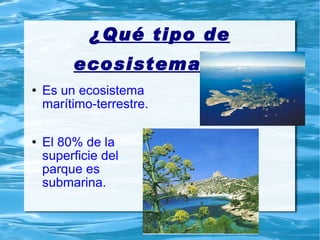 ¿Qué tipo de ecosistema es? Es un ecosistema marítimo-terrestre. El 80% de la superficie del parque es submarina. 