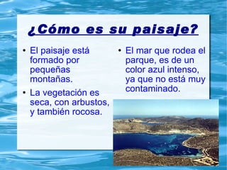 ¿Cómo es su paisaje? El paisaje está formado por pequeñas montañas.  La vegetación es seca, con arbustos, y también rocosa. El mar que rodea el parque, es de un color azul intenso, ya que no está muy contaminado. 