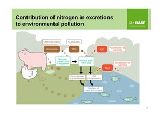 1616
Contribution of nitrogen in excretions
to environmental pollution
 