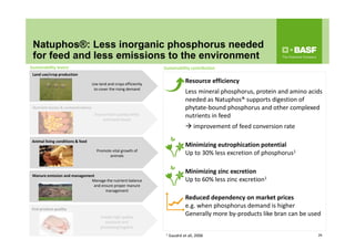 Natuphos®: Less inorganic phosphorus needed
for feed and less emissions to the environment
24
Land use/crop production
Animal living conditions & feed
Manure emission and management 
End product quality  
Resource efficiency
Less mineral phosphorus, protein and amino acids 
needed as Natuphos® supports digestion of 
phytate‐bound phosphorus and other complexed 
nutrients in feed 
 improvement of feed conversion rate
Minimizing eutrophication potential
Up to 30% less excretion of phosphorus1
Reduced dependency on market prices
e.g. when phosphorus demand is higher 
Generally more by‐products like bran can be used
Minimizing zinc excretion
Up to 60% less zinc excretion1
1 Gaudré et all, 2006
Use land and crops efficiently 
to cover the rising demand
Promote vital growth of 
animals
Manage the nutrient balance 
and ensure proper manure 
management
Enable high quality 
products and 
processing hygiene
Sustainability levers Sustainability contribution
Ensure feed quality/safety 
and avoid losses
Nutrient losses & contaminations
 