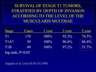 SURVIVAL OF STAGE T1 TUMORS, STRATIFIED BY DEPTH OF INVASION ACCORDING TO THE LEVEL OF THE MUSCULARIS MUCOSAEStage		Cases		1 year		3 year		5 yearT1		 170		100%		92.3%	74.5%T1A*		   50		100%		96.6%	86.4%T1B		   49		100%		97.2%	51.7%log rank, P<0.02Angulo et al. Urol 45:47-53,1995.