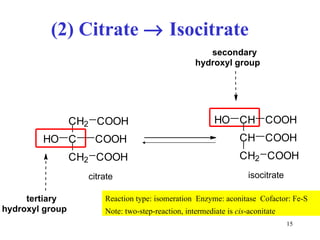 (2) Citrate    Isocitrate Reaction type: isomeration  Enzyme: aconitase  Cofactor: Fe-S Note: two-step-reaction, intermediate is  cis -aconitate C C H 2 C O O H C O O H C H 2 H O C O O H C H C H 2 C O O H C H C O O H H O C O O H tertiary  hydroxyl group secondary  hydroxyl group citrate isocitrate 