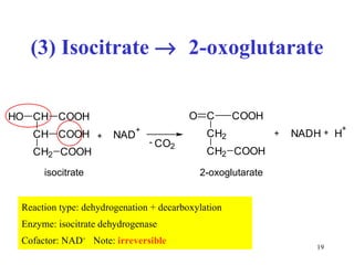 (3) Isocitrate     2-oxoglutarate Reaction type: dehydrogenation + decarboxylation  Enzyme: isocitrate dehydrogenase Cofactor: NAD +   Note:  irreversible isocitrate 2-oxoglutarate 