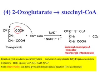 (4) 2-Oxoglutarate    succinyl-CoA Reaction type: oxidative decarboxylation   Enzyme: 2-oxoglutarate dehydrogenase complex Cofactors:  TDP, lipoate, CoA-SH, FAD, NAD +  Note:  irreversible , similar to pyruvate dehydrogenase reaction (five coenzymes) C H 2 C H 2 C O O H C C O O H O + N A D H + H + N A D + - C H 2 C H 2 C O O H C O S C o A + C O 2 2-oxoglutarate succinyl-coenzyme A thioester macroergic intermediate H S C o A 