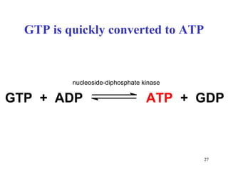GTP is quickly converted to ATP GTP  +  ADP ATP +  GDP nucleoside-diphosphate kinase 