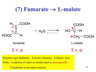 (7) Fumarate    L-malate Reaction type: hydration  Enzyme: fumarase  Cofactor: none Notes: 1) addition of water on double bond is  stereospecific 2) hydration is not redox reaction - II + H 2 O C O O H C H C H 2 H O C O O H 0 fumarate L-malate  = -II  = -II C C C O O H H H O O C H - I - I 