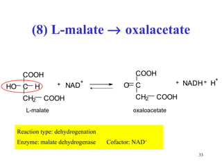 (8) L-malate    oxalacetate Reaction type: dehydrogenation Enzyme: malate dehydrogenase  Cofactor: NAD + C O O H C H C H 2 H O C O O H + N A D + C O O H C C H 2 C O O H O + N A D H H + + L-malate oxaloacetate 