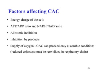 Factors affecting CAC Energy charge of the cell: ATP/ADP ratio and NADH/NAD +  ratio  Allosteric inhibition I nhibition by products Supply of oxygen - CAC can proceed only at aerobic conditions (reduced cofactors must be reoxidized in respiratory chain) 