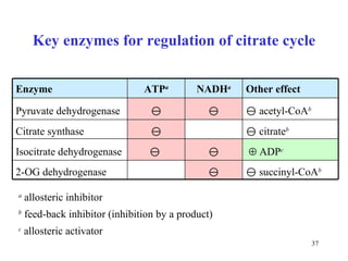 Key enzymes for regulation of citrate cycle a  allosteric inhibitor b  feed-back inhibito r  (inhibition by a product) c  allosteric a c tiv a tor    succinyl-CoA b  2-OG dehydrogenase    ADP c       Isocitrate dehydrogenase    citrate b  Citrate synthase    acetyl-CoA b   Pyruvate dehydrogenase Other effect NADH a ATP a Enzyme 