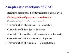 Anaplerotic reactions of CAC Reactions that supply the intermediates of citrate cycle Carboxylation of pyruvate  -> oxalacetate (Reductive carboxylation of pyruvate -> malate) Transamination of aspartate -> oxaloacetate Catabolism of Phe + Tyr -> fumarate Aspartate in the synthesis of urea/purines ->  fumarate Catabolism of Val, Ile, Met -> succinyl-CoA Transamination of glutamate -> 2-oxoglutarate 