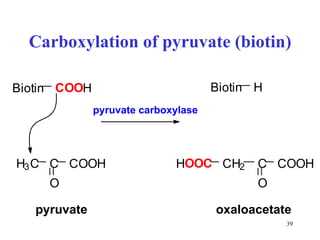 Carboxylation of pyruvate (biotin) B i o t i n C O O H H 3 C C O C O O H B i o t i n H C H 2 C O C O O H H O O C pyruvate oxaloacetate pyruvate carboxylase 