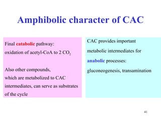 Amphibolic character of CAC CAC provides important metabolic intermediates for anabolic  processes:  gluconeogenesis, transamination Final  catabolic  pathway:  oxidation of acetyl-CoA to 2 CO 2   Also other compounds,  which are metabolized to CAC intermediates, can serve as substrates   of the cycle 