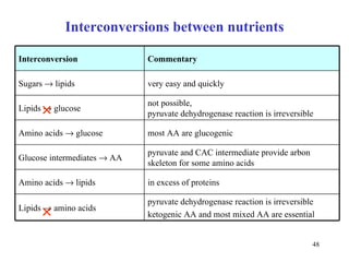 Interconversions between nutrients × × pyruvate dehydrogenase reaction is irreversible ketogenic AA and most mixed AA are essential Lipids    amino acids in excess of proteins Amino acids    lipids pyruvate and CAC intermediate provide arbon skeleton for some amino acids Glucose intermediates    AA most AA are glucogenic Amino acids    glucose not possible,  pyruvate dehydrogenase reaction is irreversible Lipids    glucose very easy and quickly Sugars    lipids Commentary Interconversion 
