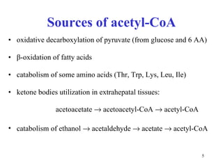 Sources of acetyl-CoA oxidative decarboxylation of pyruvate (from glucose and 6 AA) β -oxidation of fatty acids catabolism of some amino acids (Thr, Trp, Lys, Leu, Ile) ketone bodies utilization in extrahepatal tissues:  acetoacetate    acetoacetyl-CoA    acetyl-CoA  catabolism of ethanol    acetaldehyde    acetate    acetyl-CoA 