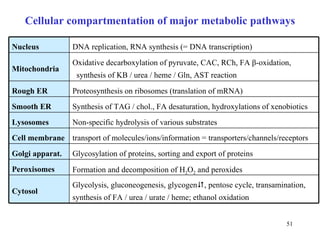 Cellular compartmentation of major metabolic pathways Proteosynthesis on ribosomes (translation of mRNA) Rough  ER Glycolysis, gluconeogenesis,  gly c ogen  ,  pentose  c ycle, transamination,  synt hesis of FA / urea / urate / heme ;  ethanol oxidation Cytosol Formation and decomposition of H 2 O 2  and peroxides Peroxisomes Glycosylation of proteins, sorting and  export  of  protein s Golgi apparat. transport of molecules/ions/information = transporters/channels/ receptor s Cell membrane Non-specific hydrolysis of various substrates  Lysosomes Synthesis of TAG / chol., FA desaturation, hydroxylations of xenob ioti cs Smooth   ER Oxidative decarboxylation of pyruvate, CAC, RCh, FA  β - oxidation,  synthesis of KB / urea / heme / Gln , AST rea ction Mitochondria DNA replication, RNA synthesis (= DNA transcription) Nucleus 